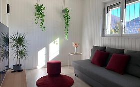 Gotthard House